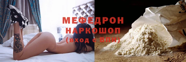 мдпв Инсар