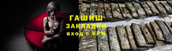 мдпв Инсар