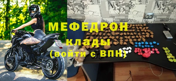 мдпв Инсар