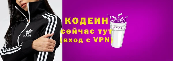 мдпв Инсар