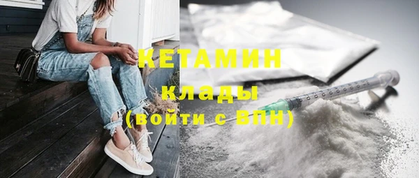 мдпв Инсар