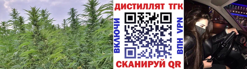 Купить  Югорск  ТГК вейп 
