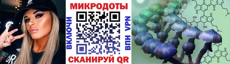 Псилоцибиновые грибы Cubensis  Купить где  Югорск 